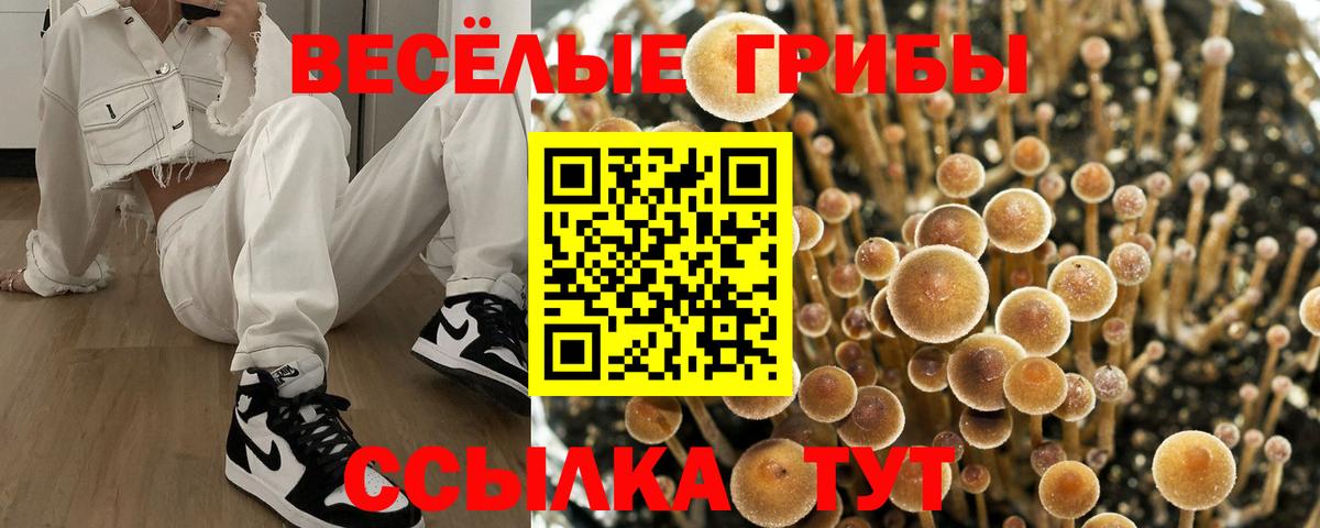 Кириши  Псилоцибиновые грибы GOLDEN TEACHER  Вход с VPN 